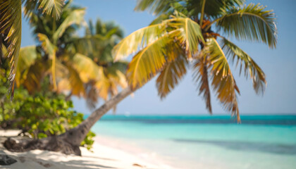 Fototapeta premium Tropical Beach Scene with Swaying Palm Trees and Gentle Turquoise Waves Under Clear Sky