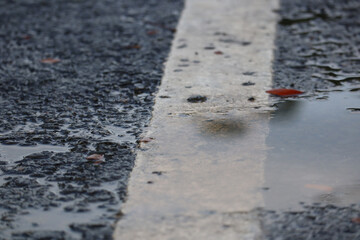 Close Up of Wet Asphalt Road with White Line and Small Puddle