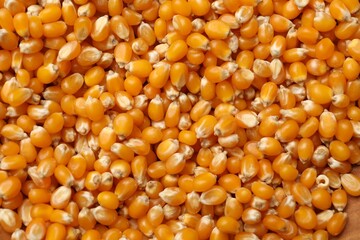 Many golden corn kernels as background, closeup