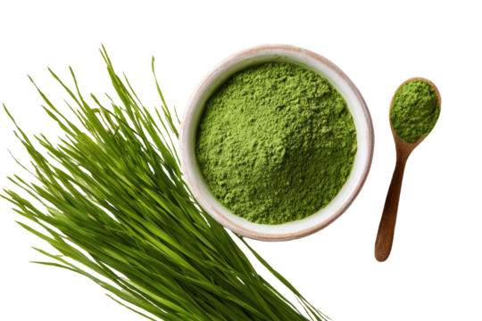 Green wheatgrass powder in a bowl, with a wooden spoon