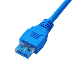 Close-up of a blue network cable connector