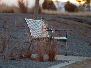 lone park bench on a cold overcast winter day