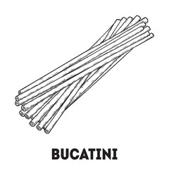 Pasta bucatini sketch. Italian food. Hand drawn vector illustration. Bucatini pasta Engraved style. Detailed black and white illustration.