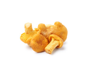 Fresh raw chanterelle mushrooms isolated on white