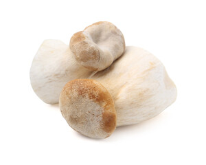 Fresh raw eryngii mushrooms isolated on white