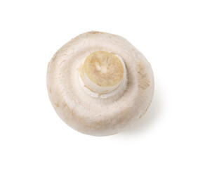 One fresh raw champignon isolated on white, top view