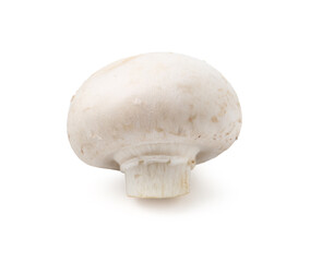 One fresh raw champignon isolated on white