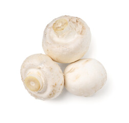 Fresh raw champignon mushrooms isolated on white, top view