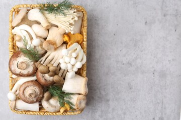 Different raw mushrooms and dill in wicker basket on grey textured table, top view. Space for text