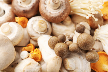 Different raw mushrooms as background, above view