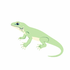 Lizard 259