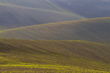 The amazing landscape of Moravian Tuscany. Fields and meadows
