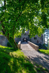 The Majestic and Enigmatic Ruins of an Ancient Castle are Beautifully Surrounded by Lush Greenery. Burg Hanstein castle ruins, The historic Castle Hanstein in Thuringia.