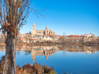 Salamanca Cathedral Reflected in the River Tormes: A scenic view of the iconic cathedral and its...