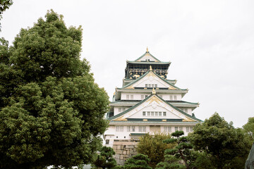 Osaka castle rising majestically behind lush green trees in japan