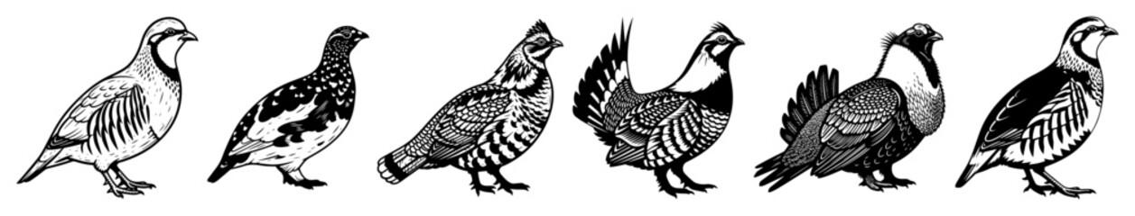 Partridge & Grouse Vector Silhouettes – Upland Game Birds Collection, Detailed Black-and-White Clip Art Set