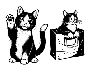 Cute Cats Gestures Vector Set – Friendly Paw Wave & Kitten Sitting in Paper Bag, Playful Black and White Illustrations