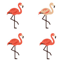 Four flamingo birds, one is a different color