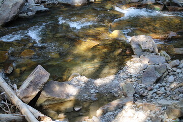 Montana Nature and Trails