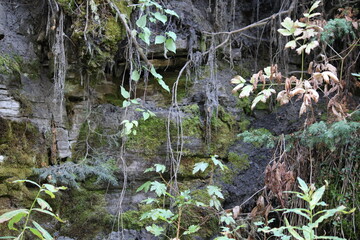 Montana Nature and Trails
