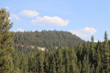 Montana Nature and Trails