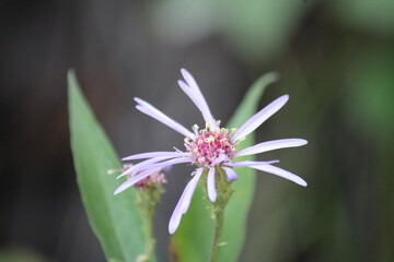 Montana Nature and Trails