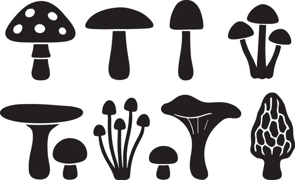 Set of Mushroom Silhouettes &ndash; Vector Fungi Icons Featuring Edible Mushrooms, Toadstools, Wild Forest Fungi & Botanical Shapes
