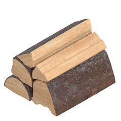 3D rendering illustration of 5 wood logs