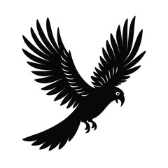 Yellow-tailed Black Cockatoo Bird Silhouette on White Background