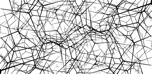 spider web on a dark background