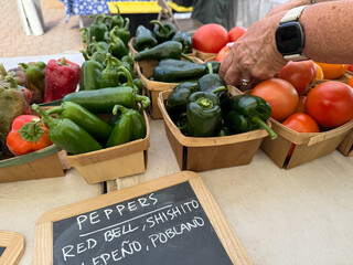 Fresh Produce at Farmer's Market in Holland Michigan Showcasing Colorful Peppers and Tomatoes