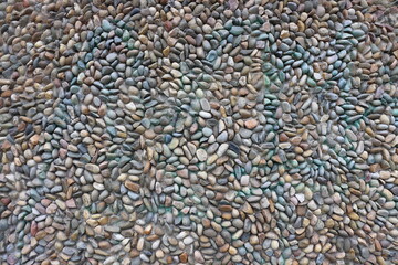 Pebble stone floor texture background. Pebble stone floor texture background.