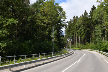 Fototapeta premium Asphalt road in a beautiful summer mixed forest