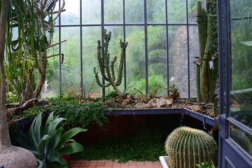 La serre et ses plantes tropicales