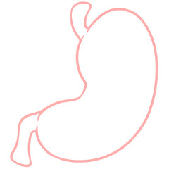 pink outline stomach illustration