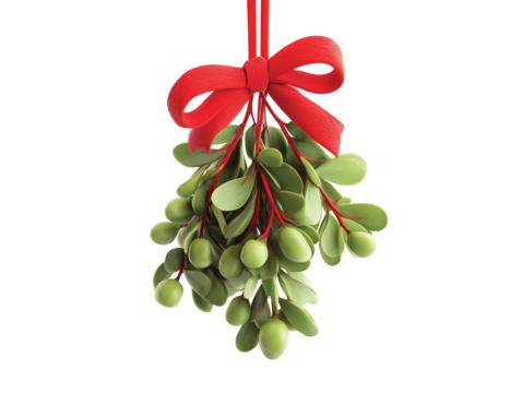 mistletoe with red ribbon, soft lighting isolated on transparent White background png
