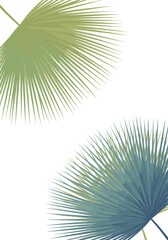 Obraz premium Modern tropical palm leaves with muted green and blue tones perfect for design projects