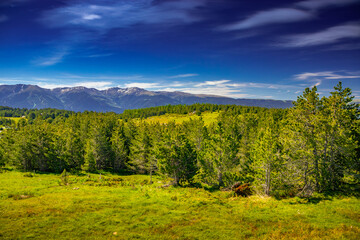Mountain landscape of the Pyrenees in summer in the South of France. Pastures and forests in Font Romeu. © Gilles