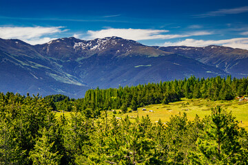 Mountain landscape of the Pyrenees in summer in the South of France. Pastures and forests in Font Romeu. © Gilles