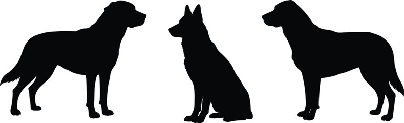 Canine companion silhouette collection, a dynamic set of dogs in various poses, for pet and animal-themed designs.