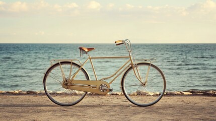 A vintage bicycle with a wooden frame and leather saddle, parked on a sandy beach with the ocean in the background.