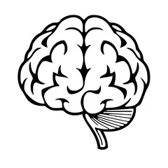 Medical & Healthcare – Brain 440