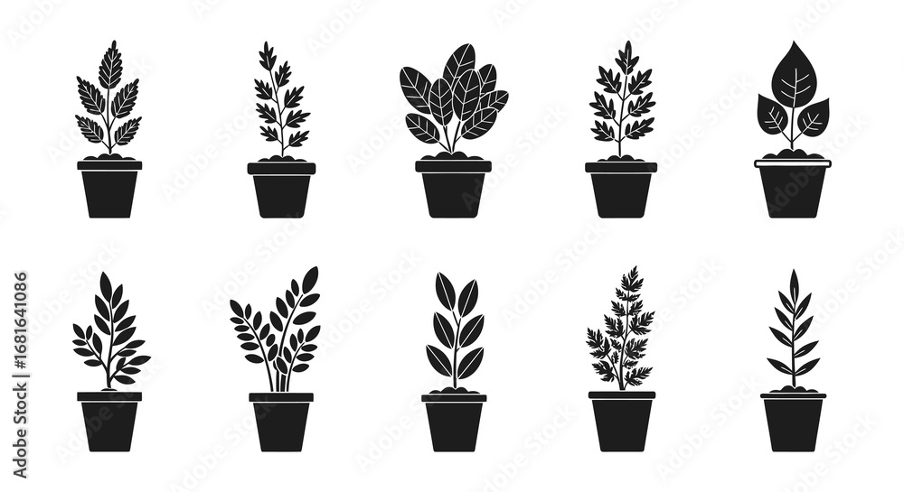 Poster various plants in pots arranged neatly in rows