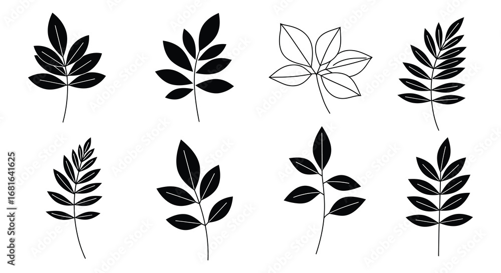 Poster various leaf shapes and structures displayed in black and white