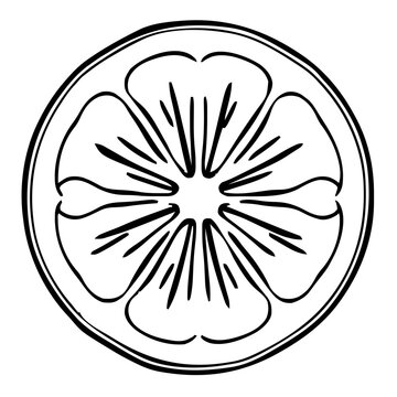 Drinks &ndash; Lemon Slice 701