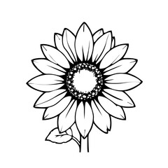 Gardening & Plants – Sunflower 860