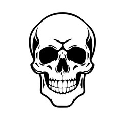 Fototapeta premium Holidays & Seasonal – Skull 131