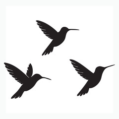 Obraz premium Silhouette of Three Hummingbirds in Flight A Minimalist Design for Creative Projects