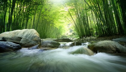 green bamboo forest with water stream and stones
