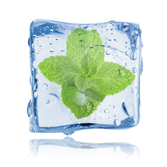 Fresh mint leaves inside clear ice cube on white background